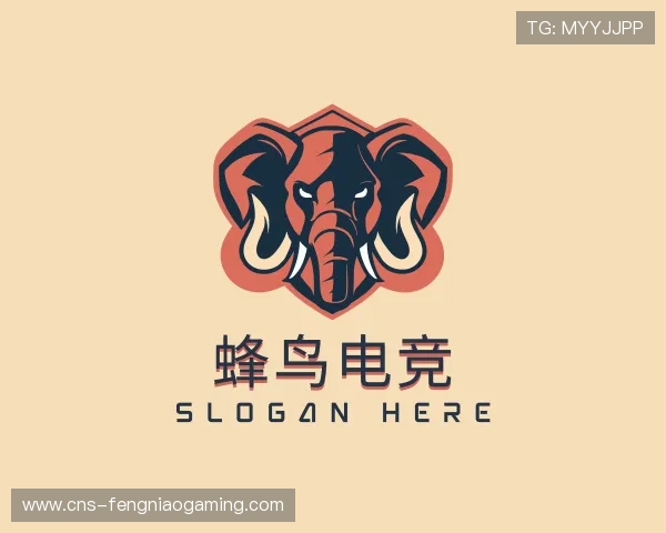 发现蜂鸟电竞团队